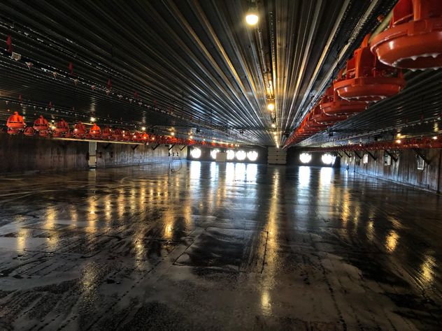 Freshly washed poultry barn with a gleaming wet floor, pan feeders raised and tunnel fans glowing at the far end
