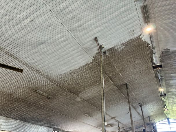 Dairy barn ceiling mid-wash with a sharp line between clean white liner panels and dark grime-covered panels