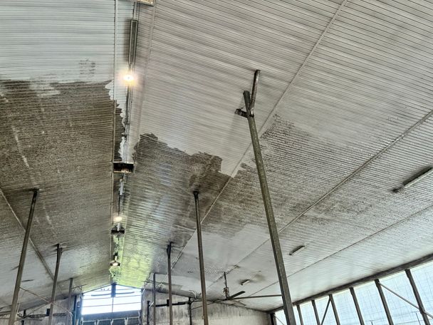 Wide view of a dairy barn ceiling mid-wash, grime-darkened steel liner beside freshly cleaned white panels
