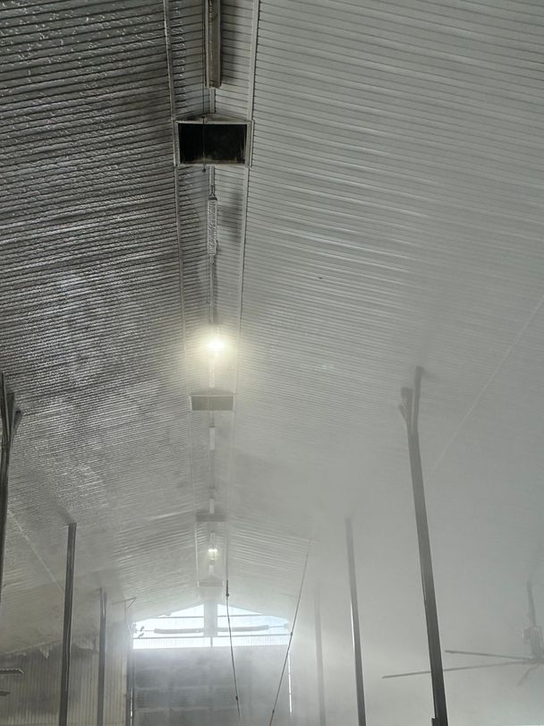 Wash mist fills a dairy barn as the dust-coated left side of the ceiling meets the freshly washed right side