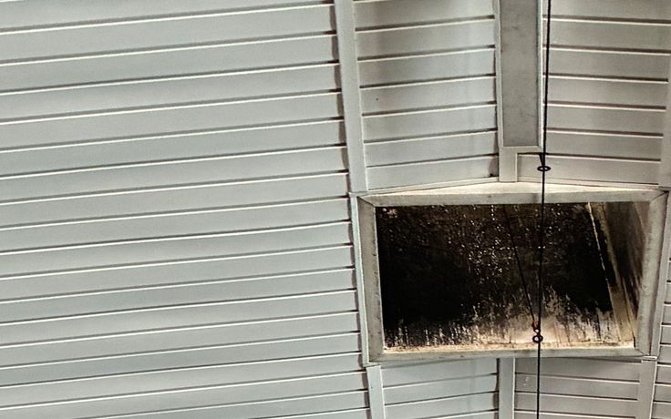 After: the same liner, ridge trim and vent rim washed clean white the same morning