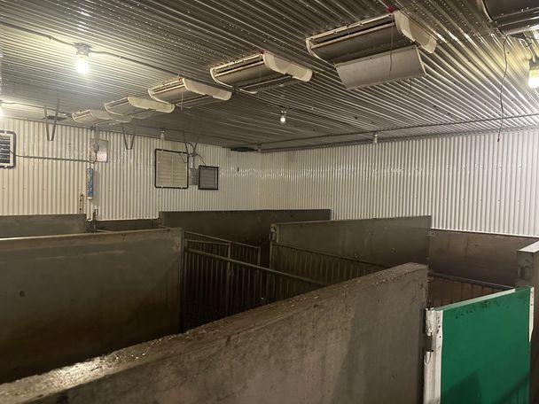 Freshly washed hog barn pen room with wet concrete partitions, steel gates and white steel liner near Dunnville, Ontario