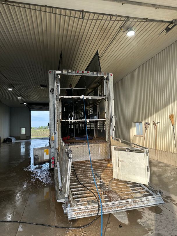 Triple-deck hog trailer in a wash bay before cleaning, loading ramp still covered in shavings and manure