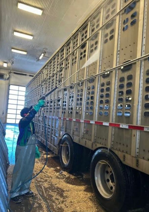 A crew member in rain gear pressure-washes the side of an aluminium hog trailer in a wash bay, shavings on the floor
