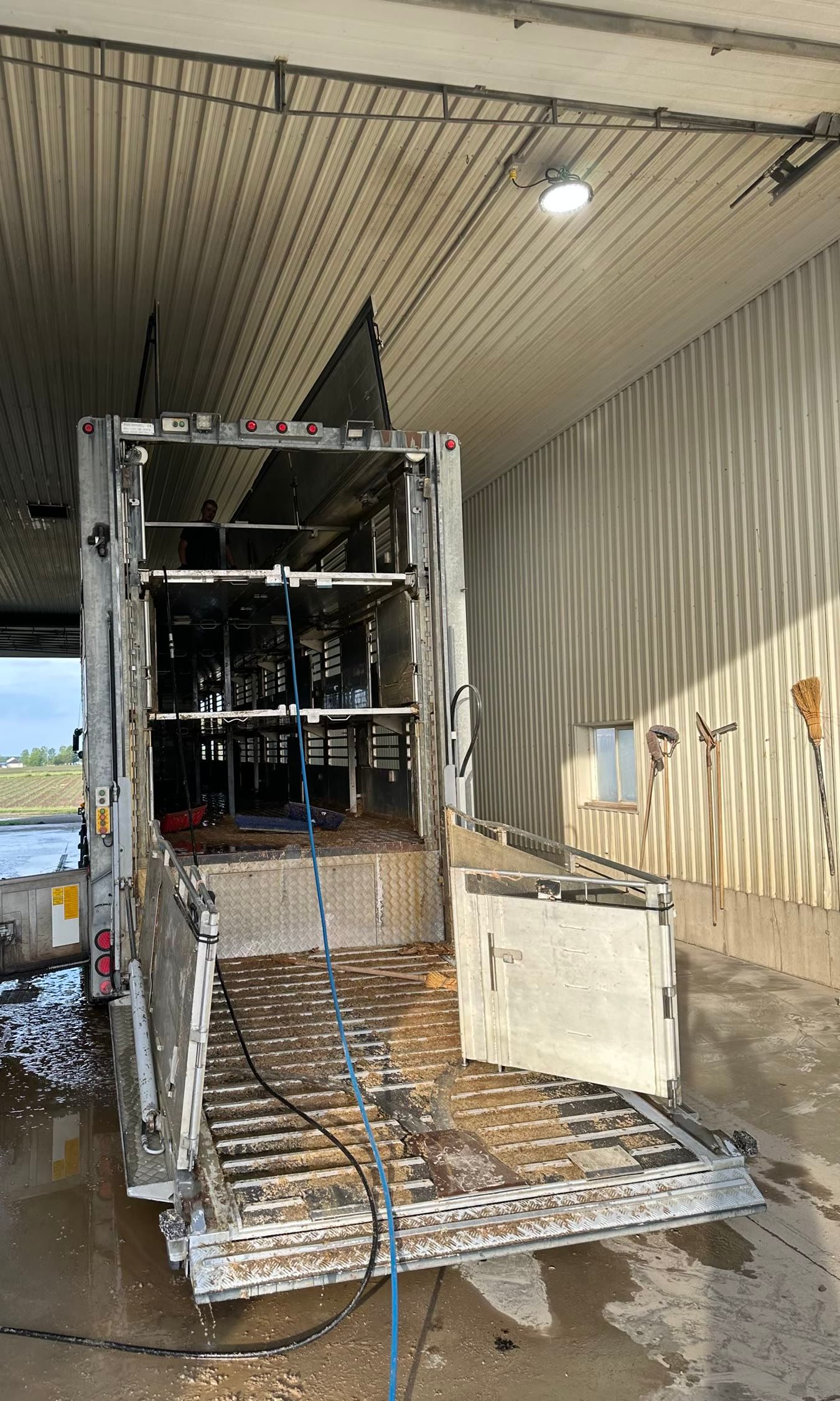 Before: a triple-deck hog trailer backed into a wash bay, its loading ramp down and still bedded with wood shavings and manure.