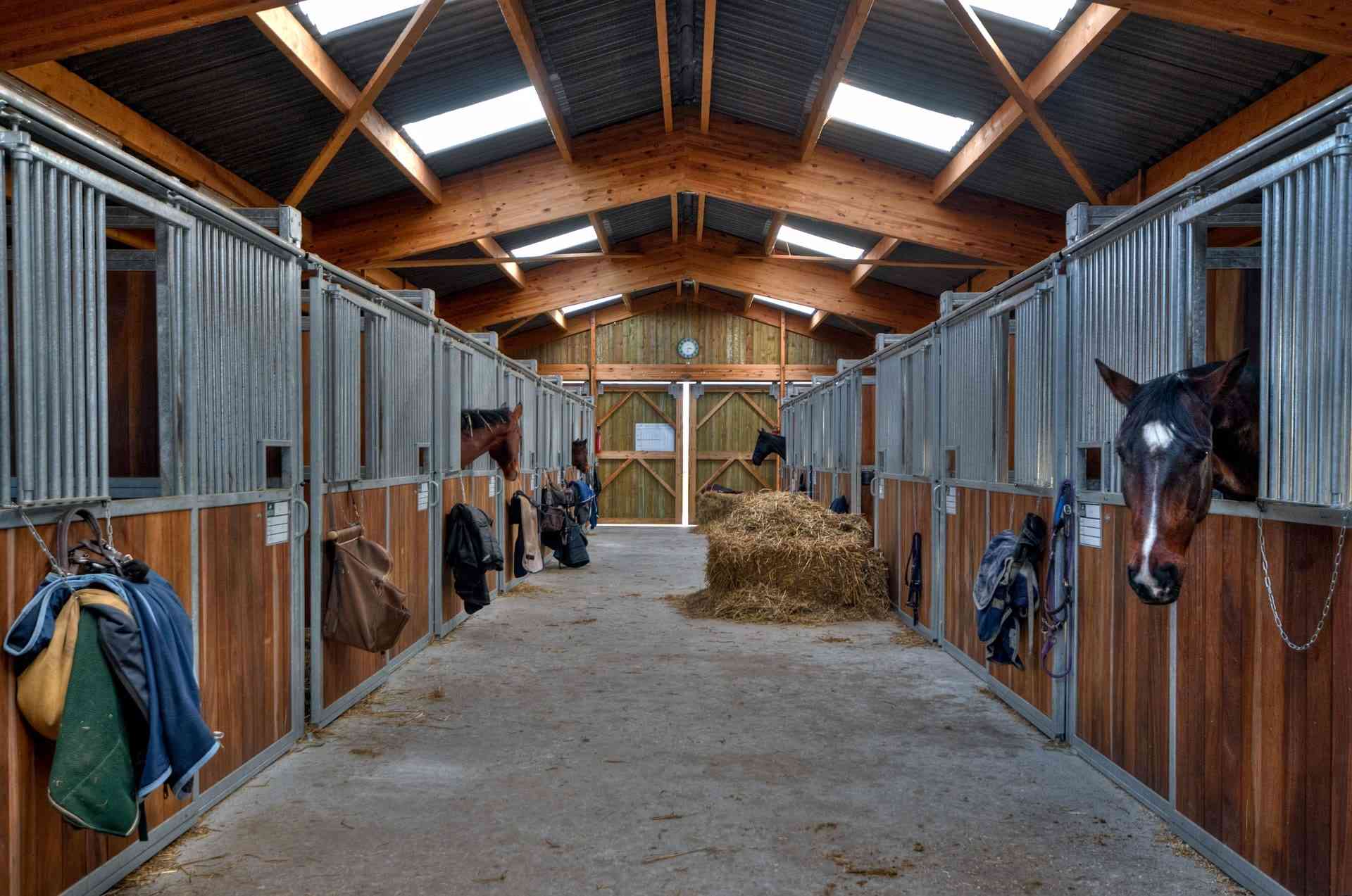 A long, clean stable aisle under timber trusses and skylights, with horses looking out over their stall fronts
