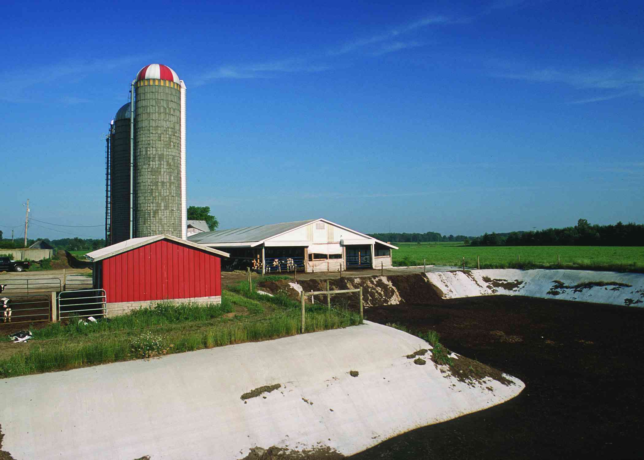 A concrete manure storage beside a dairy barn and silos