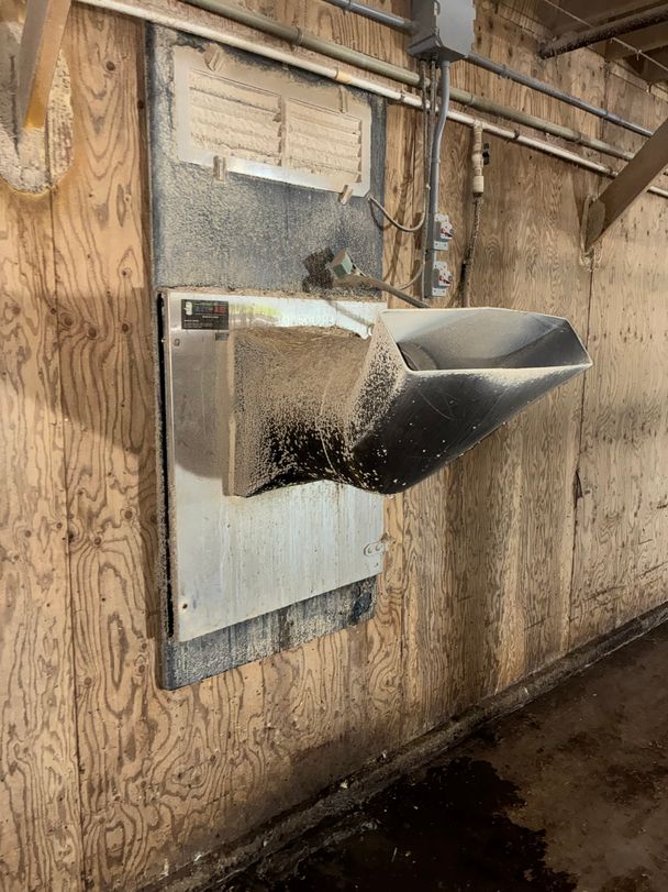 Barn dust and bedding fibres caked on a hot-water heater and nozzle in a poultry barn before cleaning