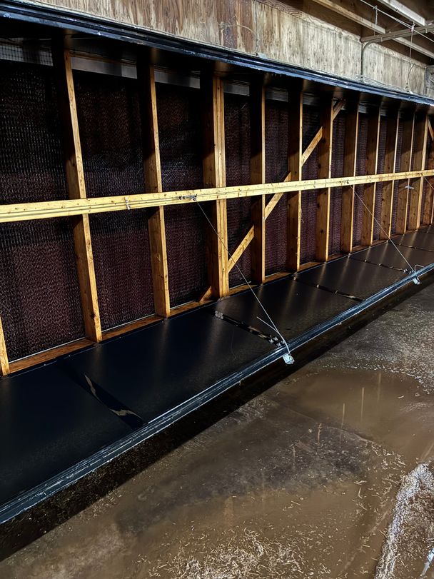 Washed evaporative cooling pads and tunnel inlet doors along a poultry barn wall after washing