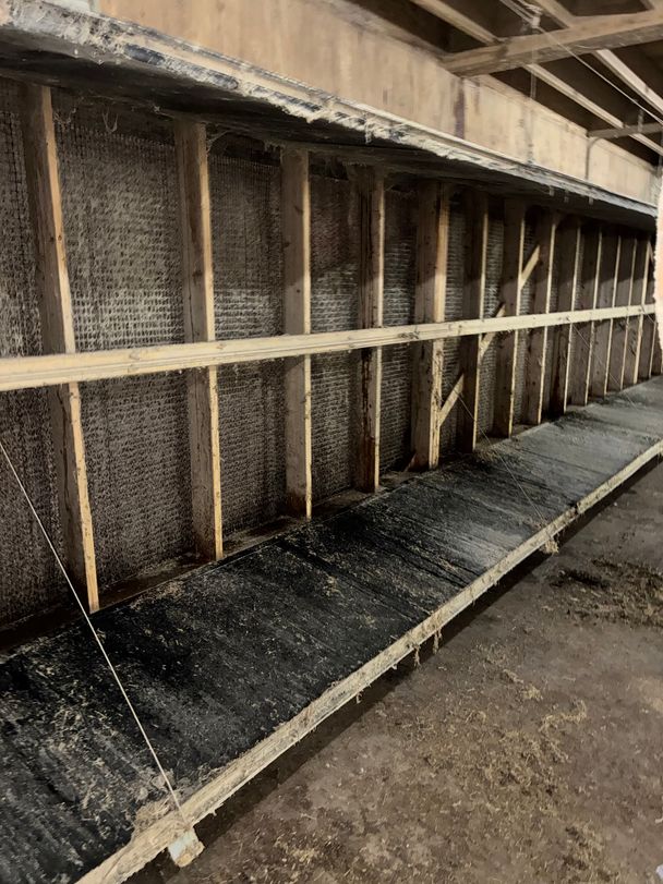 Dust-coated evaporative cooling pads and tunnel inlet doors along a poultry barn wall before washing