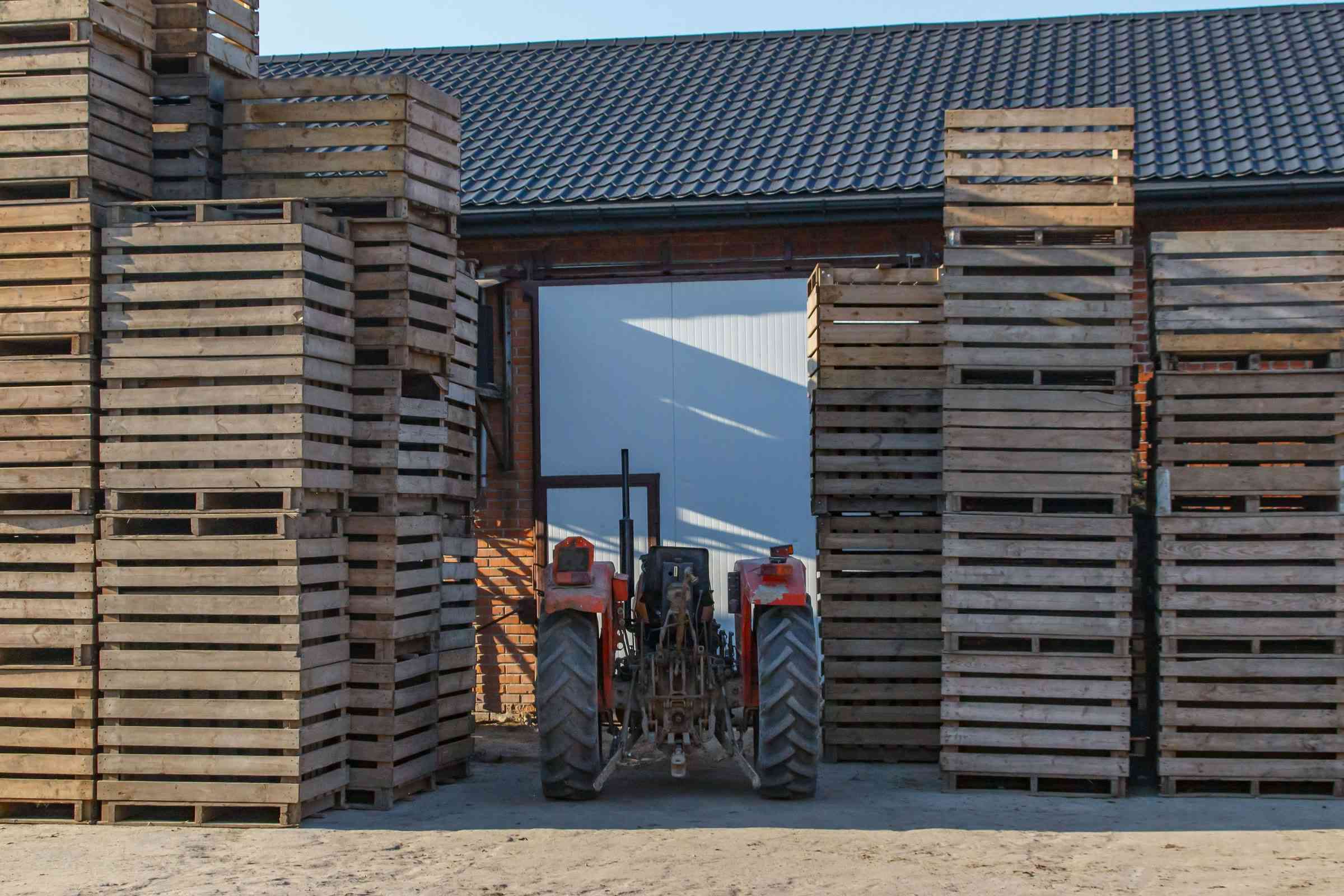Tall stacks of wooden potato bulk boxes on both sides of the open door of a storage building